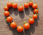 Tomato Heart