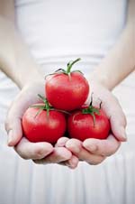 Tomatoes In Hands